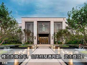 樓市洗牌之年，它憑何穿透周期，逆市登頂？