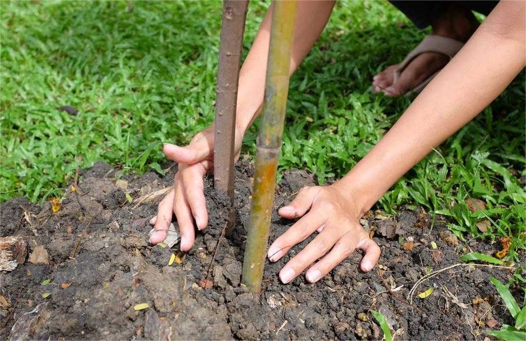 【履行植樹義務(wù) 共建美麗山西】國土綠化厚植生態(tài)底色 
