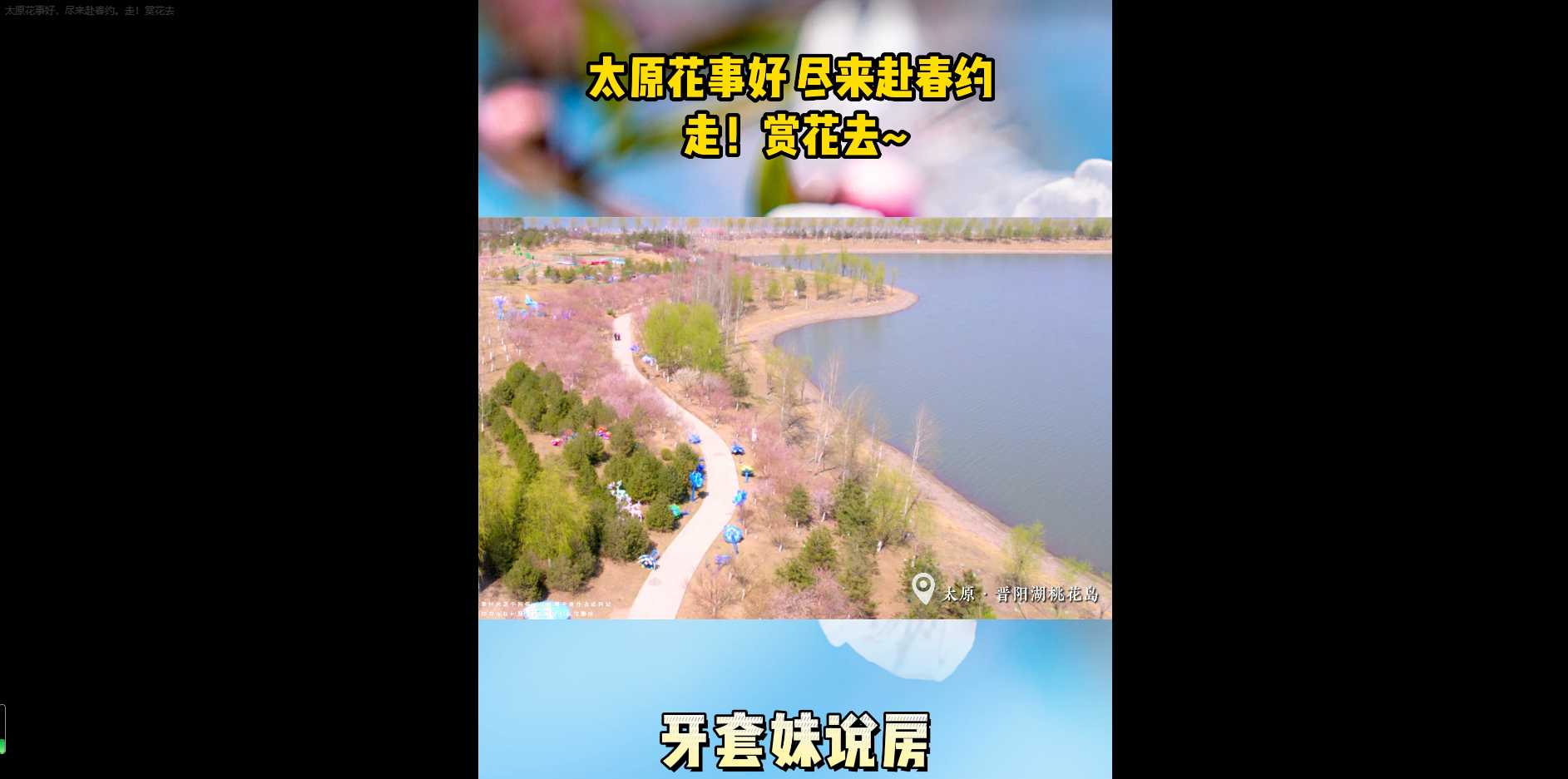 【牙套妹說房】陽春三月 春風(fēng)送暖 你賞花了嗎？