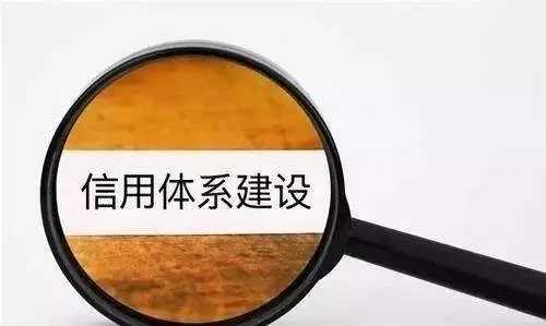 以信立市 我市推進社會信用體系建設筑牢城市發展基石 