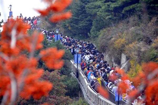 消費市場活躍快遞量激增 假期旅行年輕人熱衷隨買隨寄 