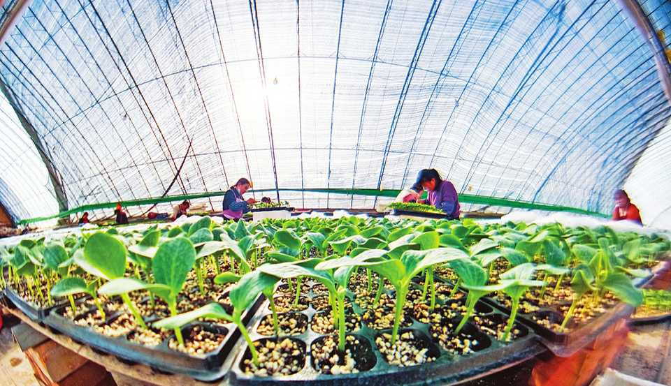 我省動態調整部分醫療服務項目價格及相關醫保支付政策，明年1月1日起執行 