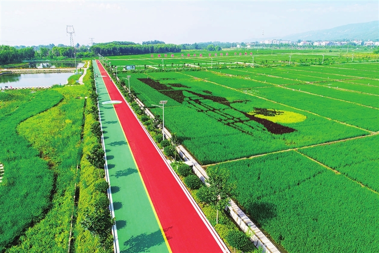 我市開展專項活動 重拳出擊整治出租汽車非法營運 