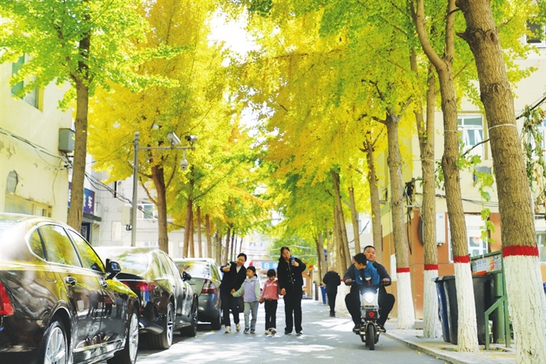 醫(yī)養(yǎng)結(jié)合機構(gòu)養(yǎng)老服務(wù)咋收費 可于11月2日前提出建議
