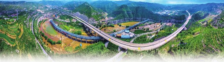 樹綠了 花開了 鳥來了 在小區(qū)和春天“撞個滿懷”