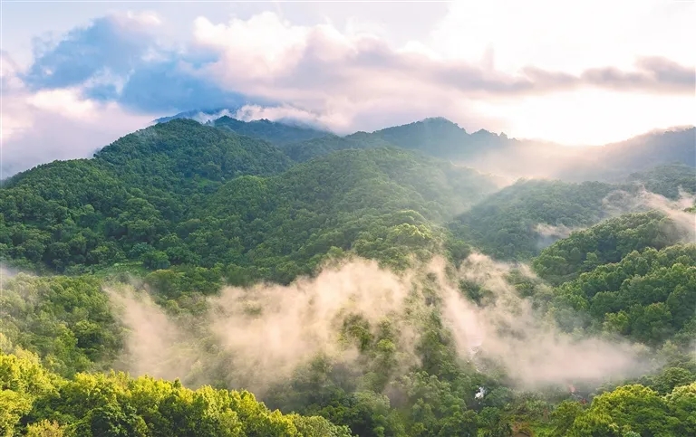 中央第一生態(tài)環(huán)境保護督察組 向我市交辦第二十二批群眾信訪舉報件情況 